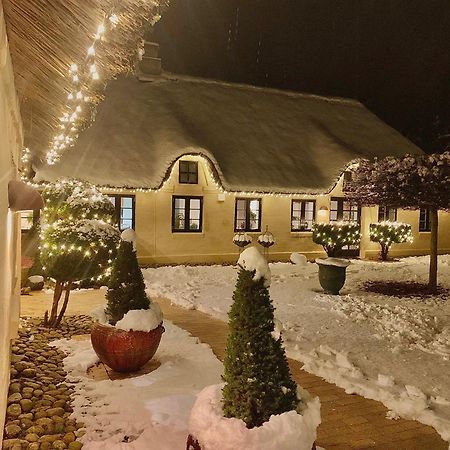 Mindedalen - Idyl Taet Pa Alt Og Helt I Fred Διαμέρισμα Billum Εξωτερικό φωτογραφία