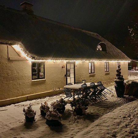 Mindedalen - Idyl Taet Pa Alt Og Helt I Fred Διαμέρισμα Billum Εξωτερικό φωτογραφία