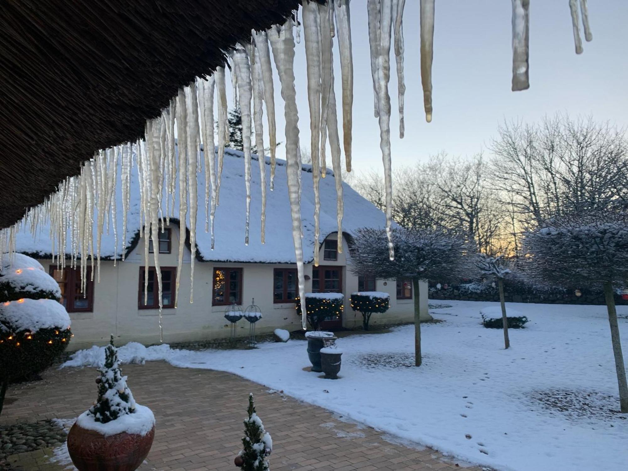 Mindedalen - Idyl Taet Pa Alt Og Helt I Fred Διαμέρισμα Billum Εξωτερικό φωτογραφία